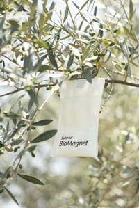 BioMagnet ORO Suterra- Mosca del olivo