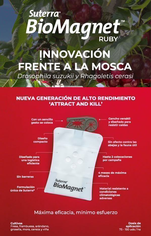 BioMagnet-Ruby-cerezo-ES
