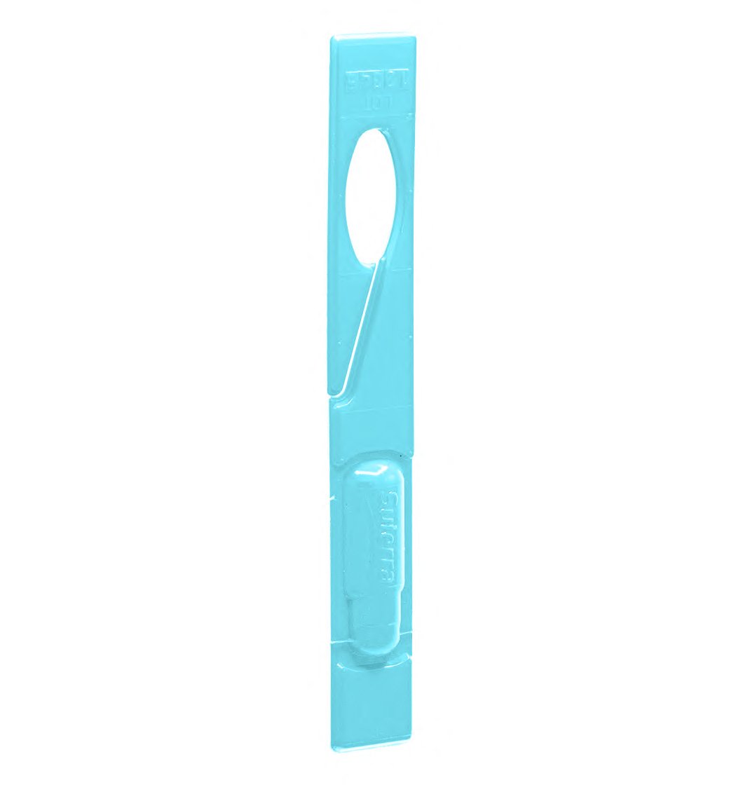 Celada-Render-(Blue)
