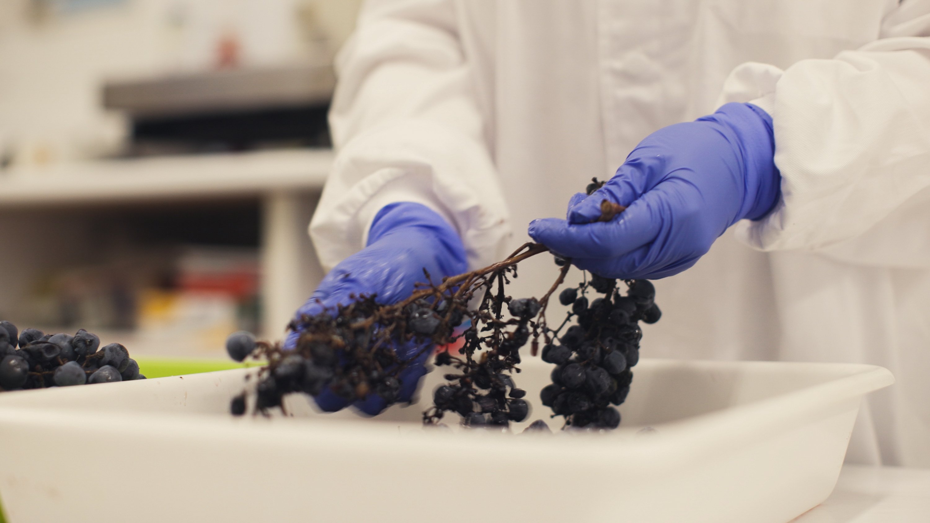 Dialogos-Guardianes-BOCOPA-Suterra_31