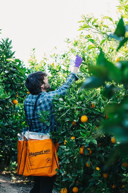 Field-Magnet-Bag-Citrus