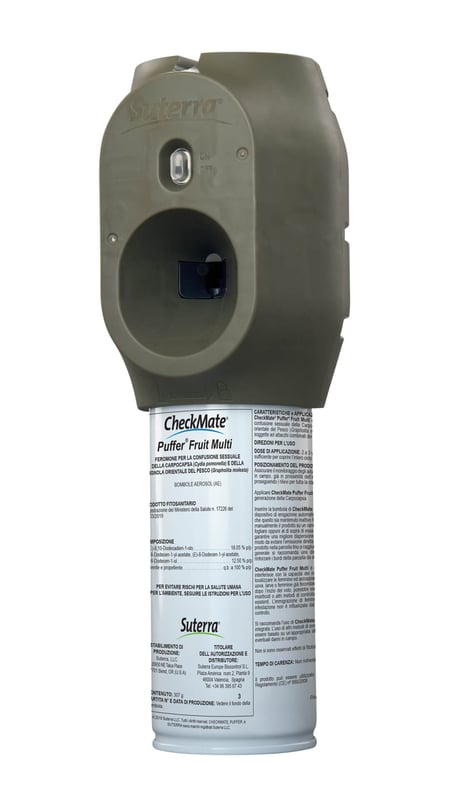 Italy-Product-Puffer-Fruit-Multi