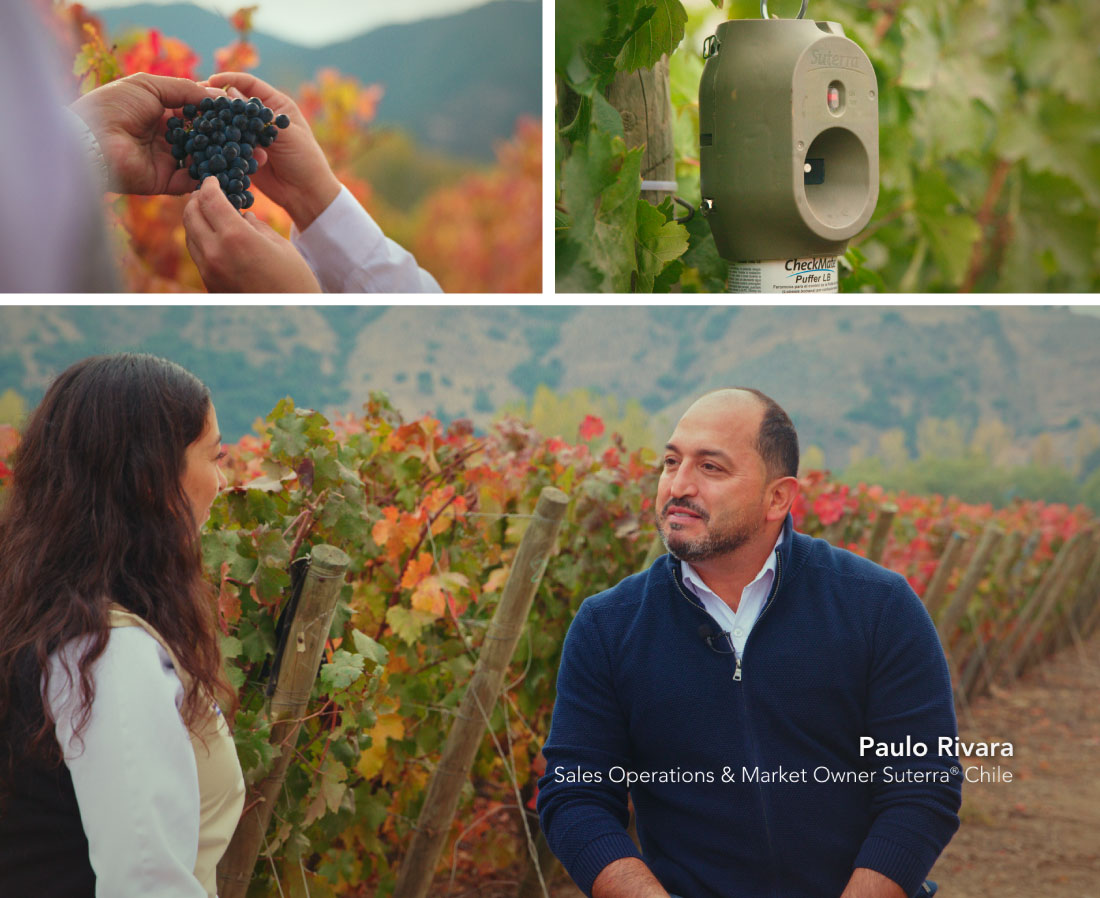 LK-25-agosto-dialogos