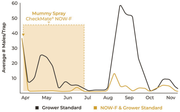 Mummy Spray Graph-NOW-F