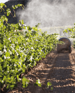 foto-fumigación-web-05-1