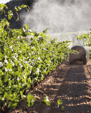 foto-fumigación-web-05-1