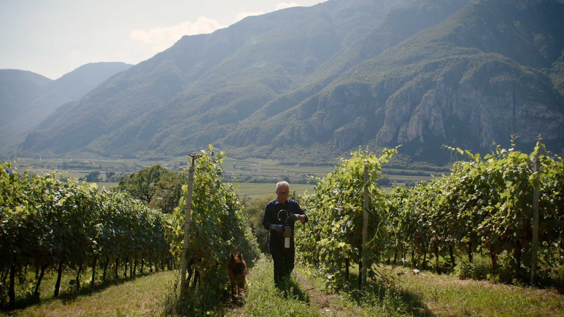 SanLeonardo-Suterra-GuardianesDelPaisaje_puffer-colocación