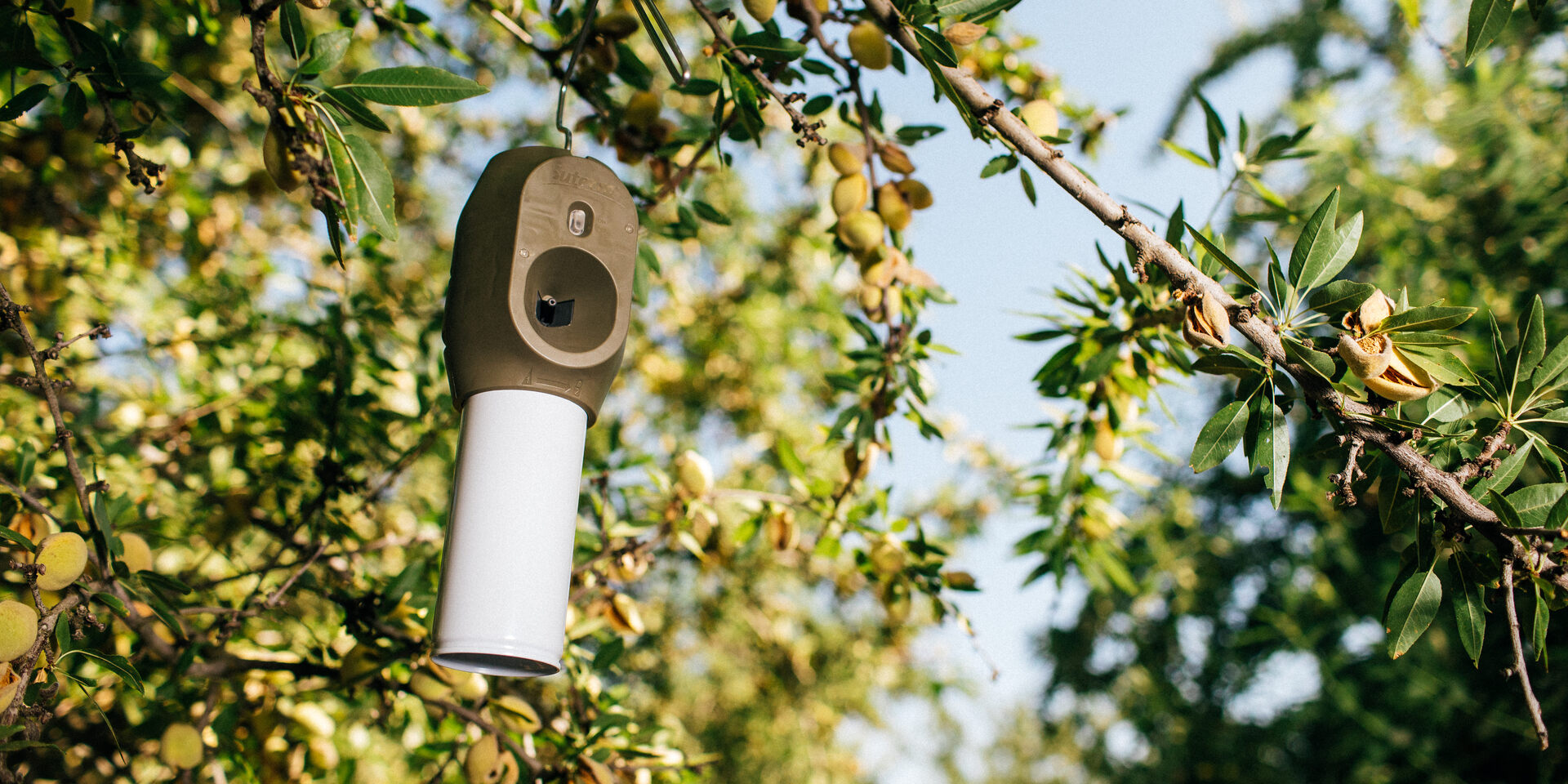 Sut-Puffer-NOW-20220908-005-1