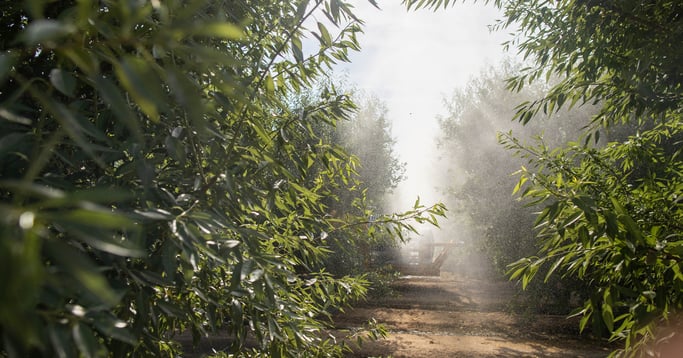 suterra-crop-for-now-f