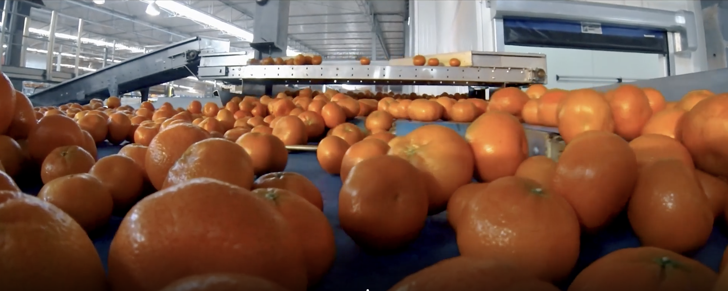 Suterra_pantallazo_Diálogos Perú Coexa Fernando Bustamante_2