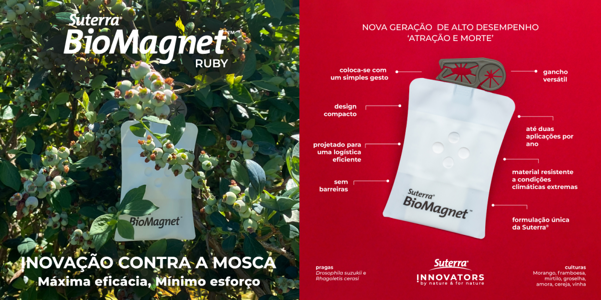 banner-BioMagnet-Ruby-PT