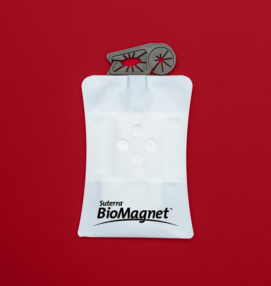 BioMagnet™ Ruby for Spotted wing drosophila | Suterra