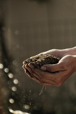 close-up-earth-in-hands