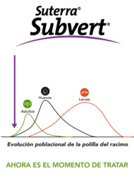 curva-subvert-3-blog