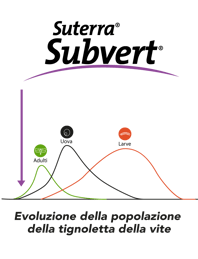 curva-subvert-whats-IT