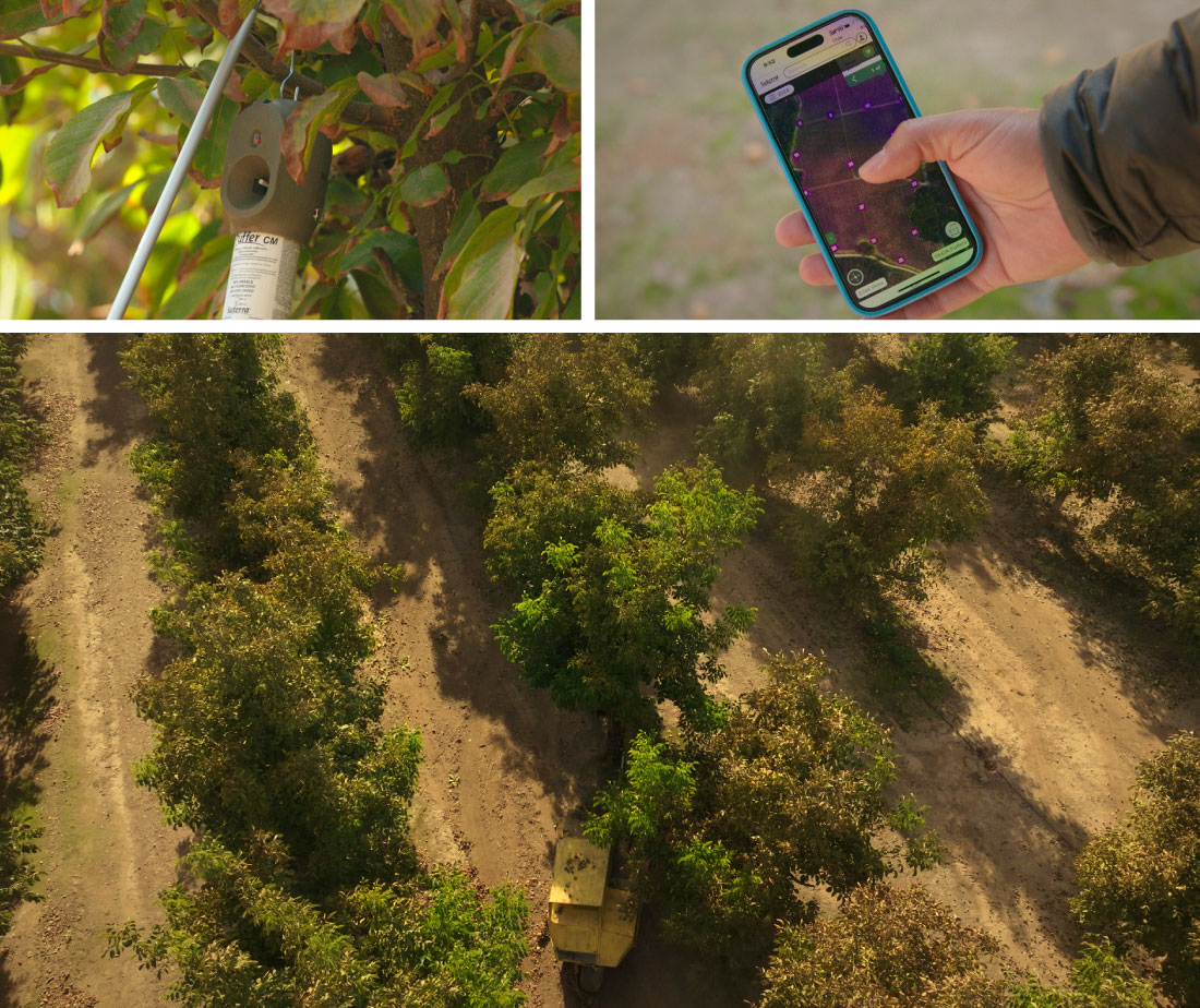 dialogos-copeval-suterra01