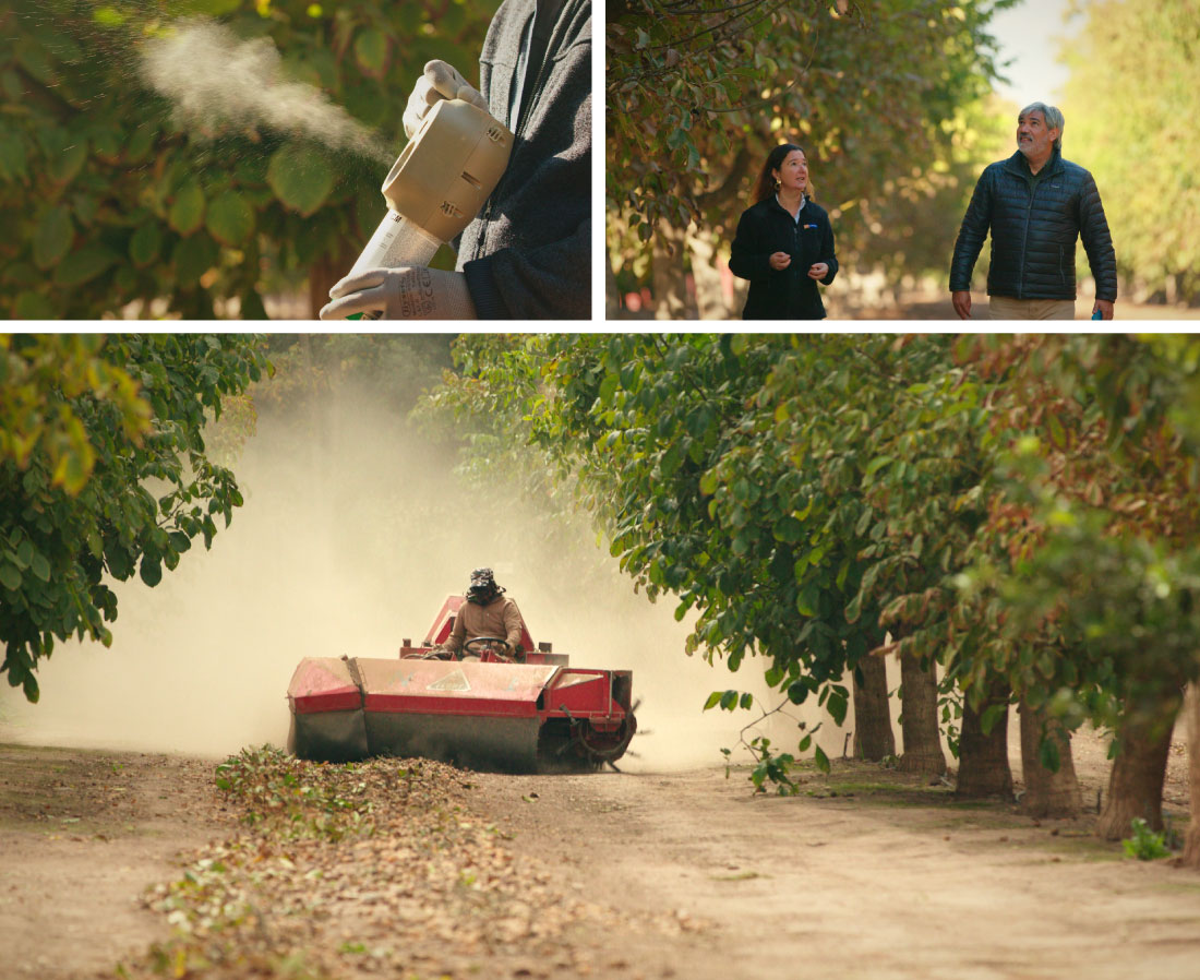 dialogos-copeval-suterra02