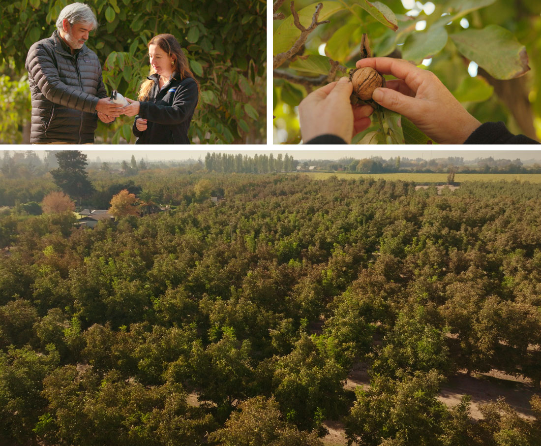 dialogos-copeval-suterra03