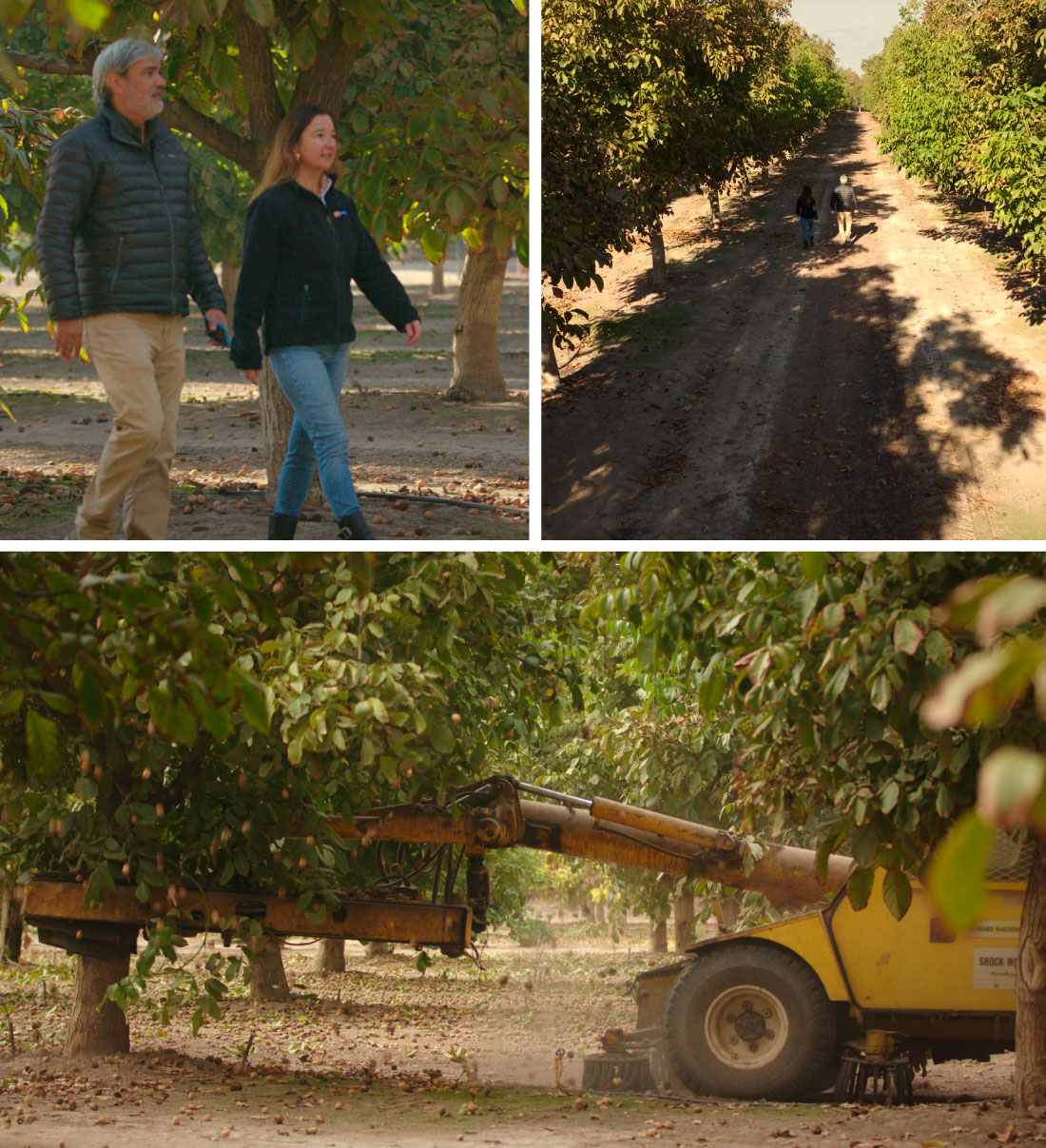 dialogos-copeval-suterra04