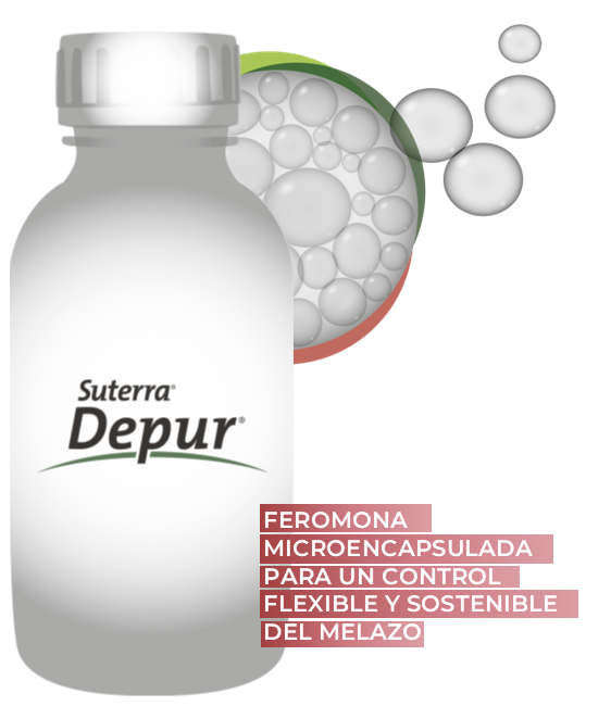 sut-depur-bottle-depur-eco-es