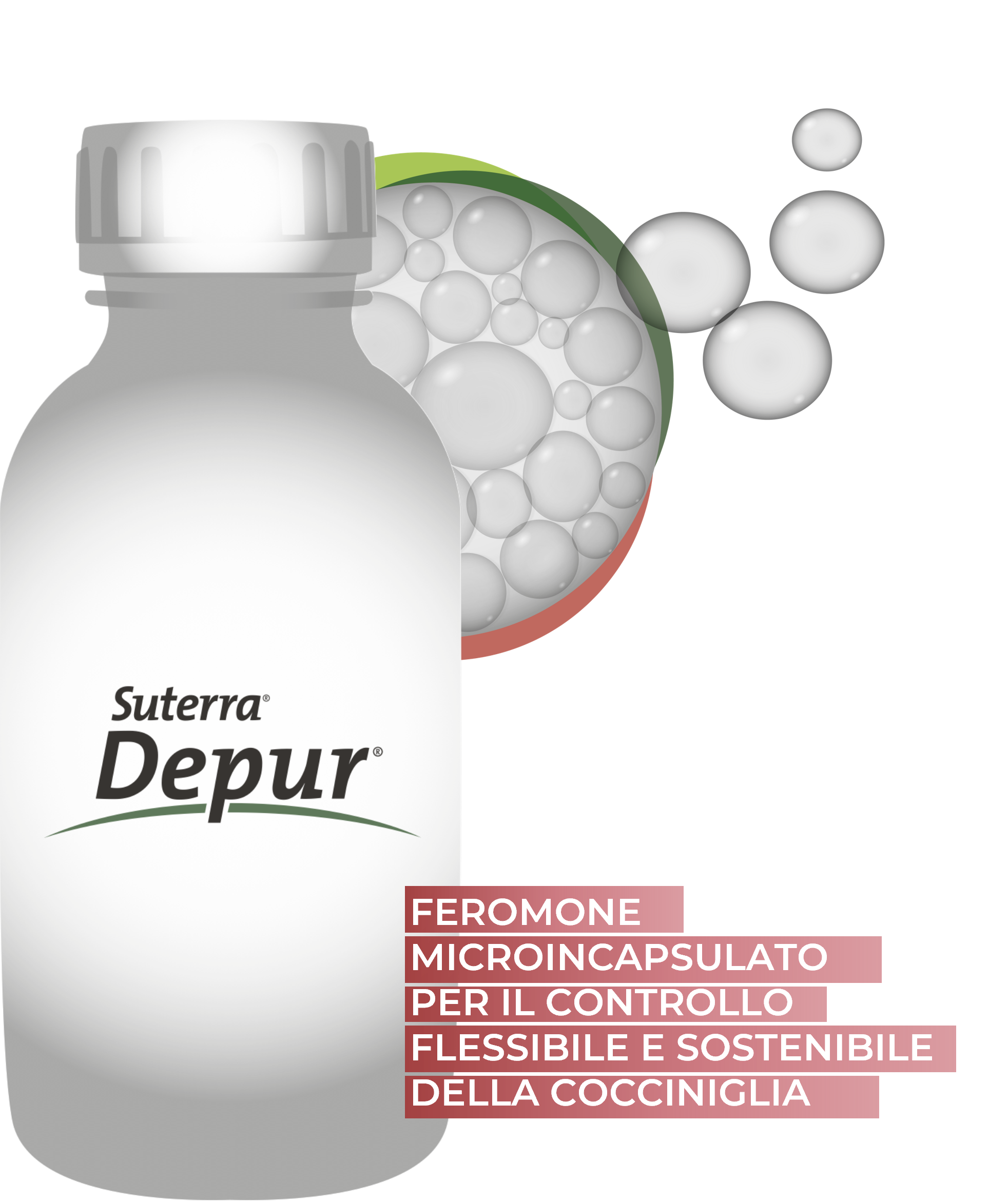 sut-depur-bottle-eco-it