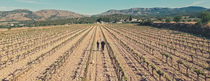 suterra-dialogos-guardianes-bocopa