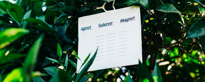 suterra-magnet-header-tree