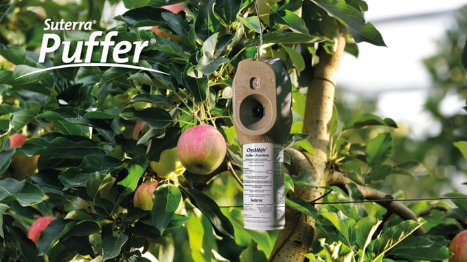 suterra-puffer-manzano