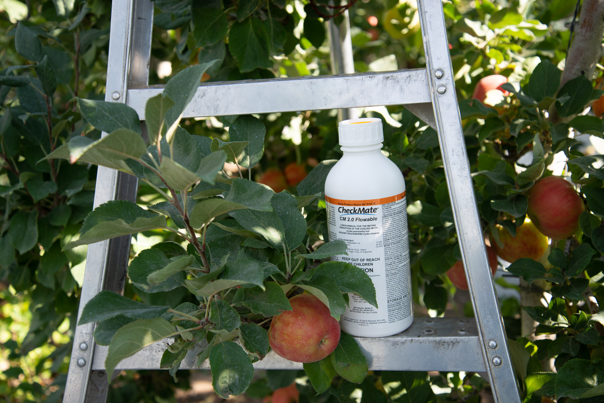 Flowable product sits on a ladder in an apple orchard.
