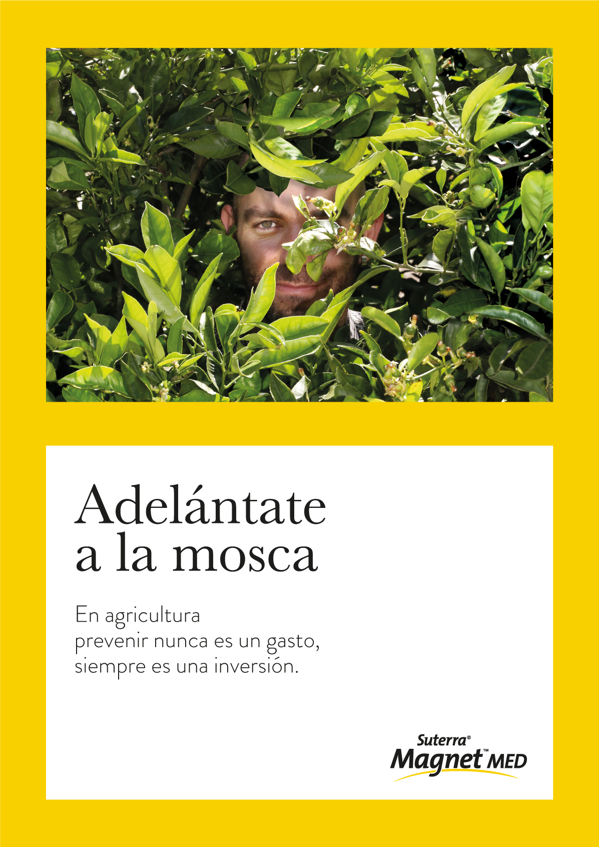 adelantate-a-la-mosca-WHATSAPP-CAST