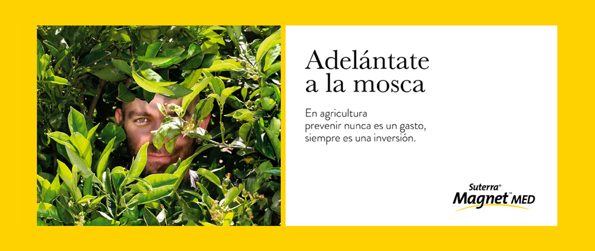 portada-web-adelantate-a-la-mosca-1200X500