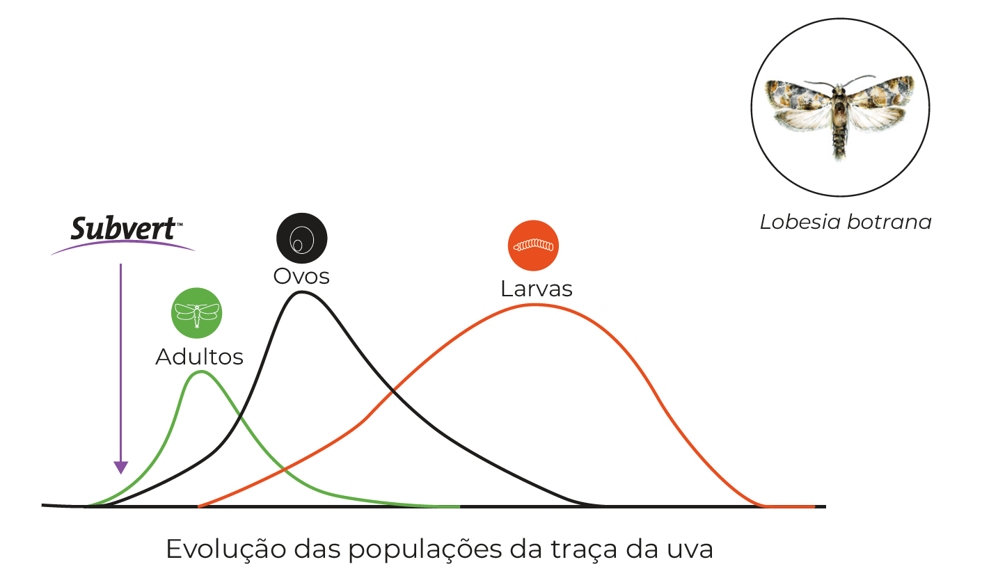 subvert-graph-pt