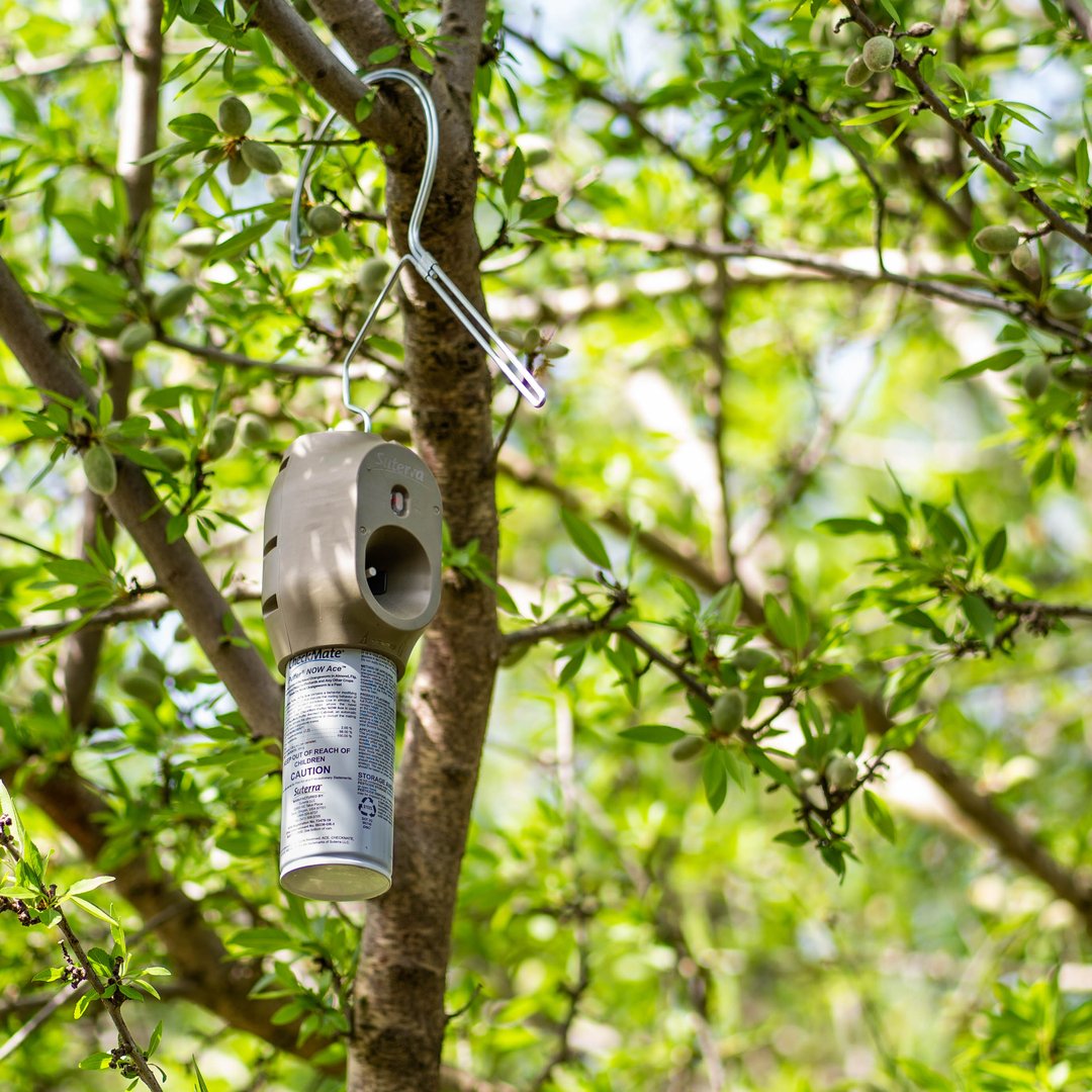 Easy Deployment of Puffer® Starts with Thoughtful Engineering