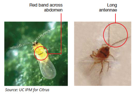 Identifying CRS_CRS Blog