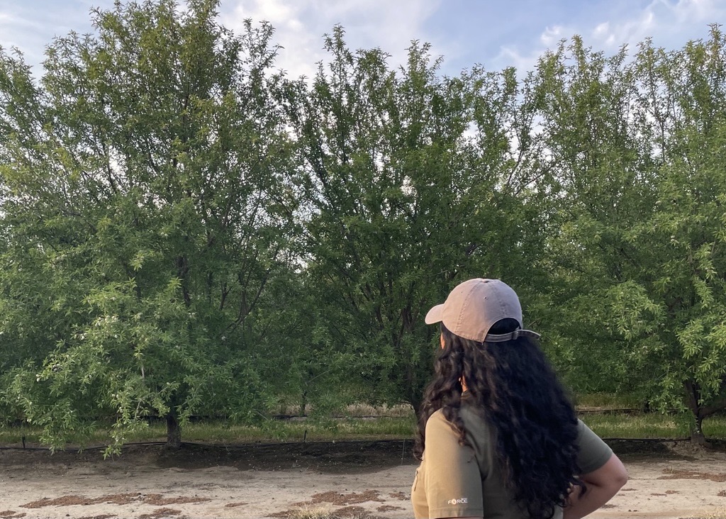 Unpredictable Growing Seasons Are the New Normal. Here’s How Mating Disruption Helps You Stay Ahead.