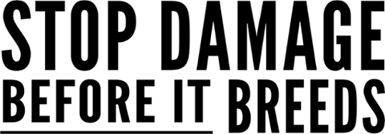 Stop Damage Wide Logo-2