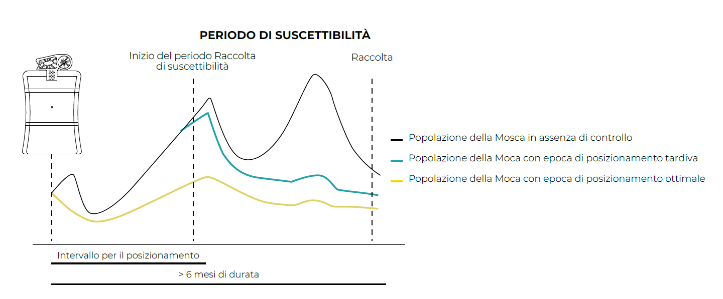 ORO IT Graph