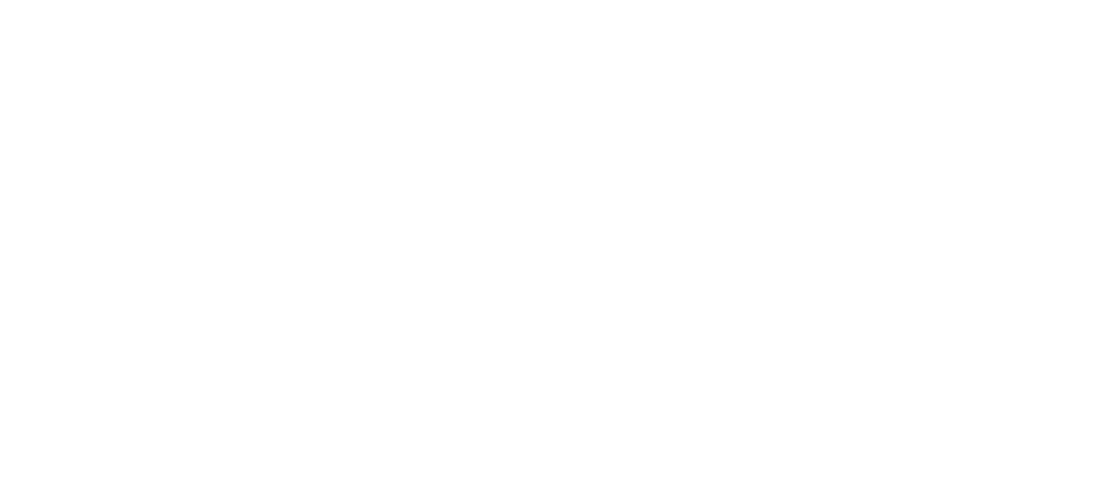 SMART-S-logo-white