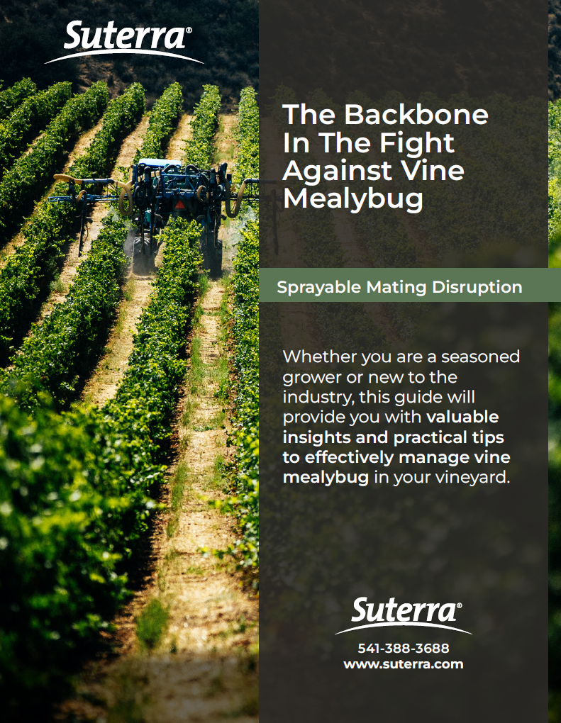 Vine Mealybug EBook