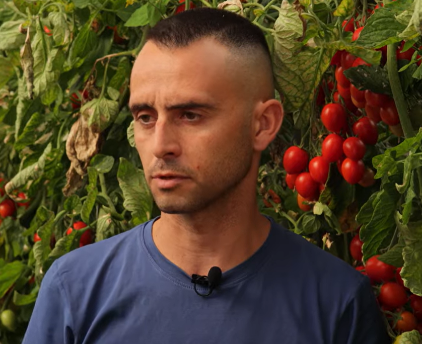 Francesco Giacuinta Tomato Farmer