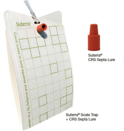 Septra Lure & Scale Trap_CRS Blog