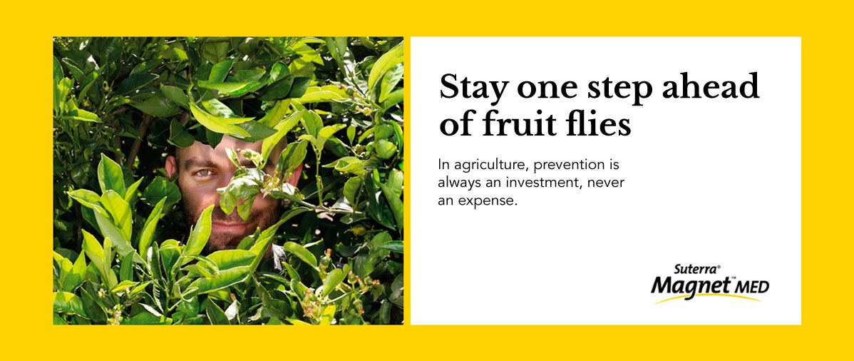 Stay-one-step-ahead-of-fruit-flies-EN