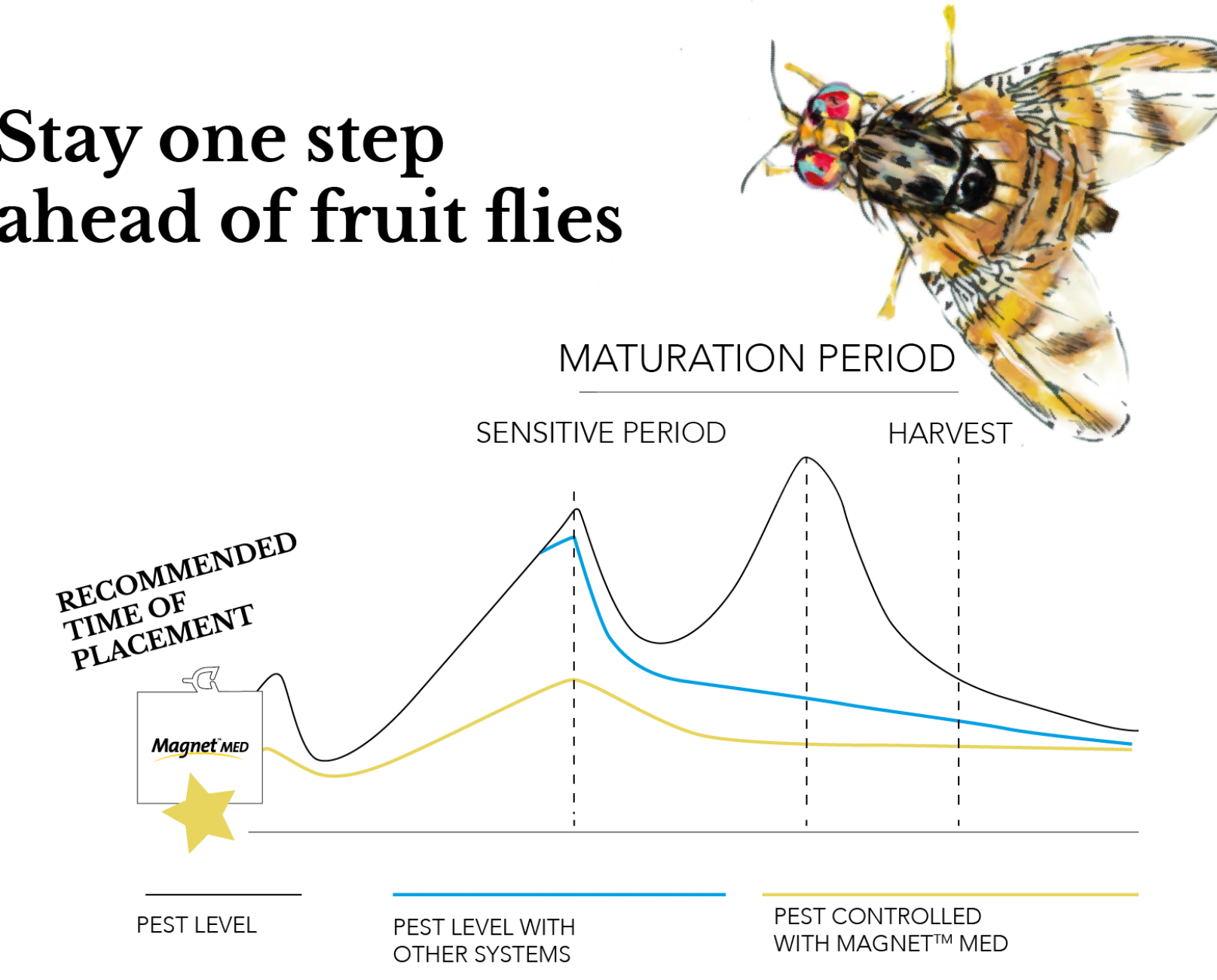 Stay-one-step-ahead-of-fruit-flies-GRAPH- EN