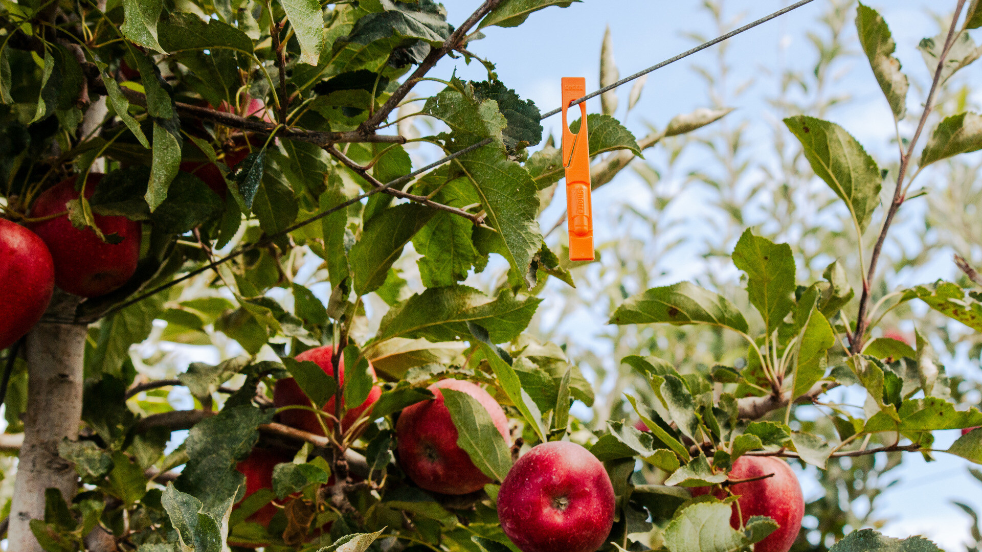 Sut-Celada-CM-20240325-003