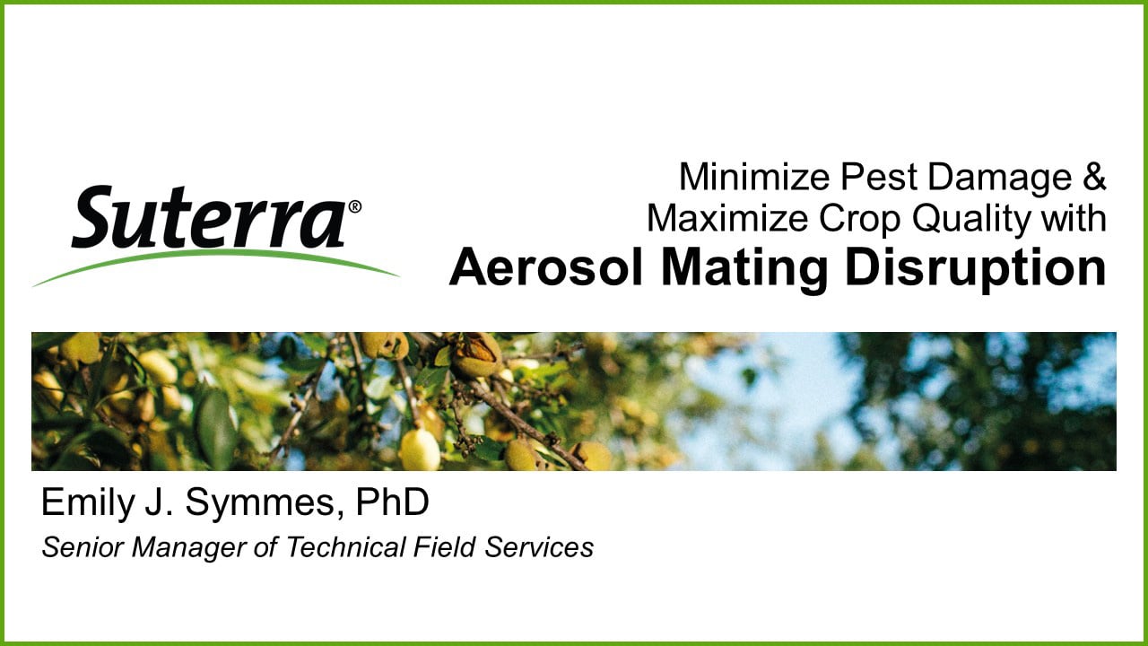 Aerosol Mating Disruption