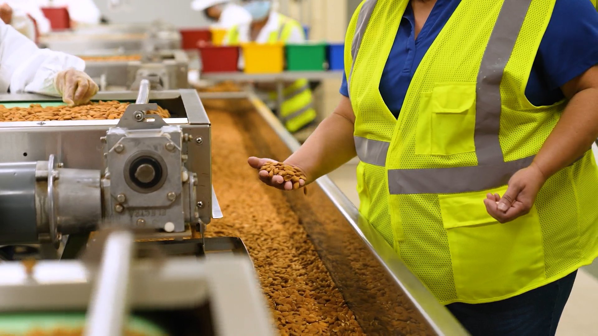 Almonds are processed by a worker in a stored product facility.