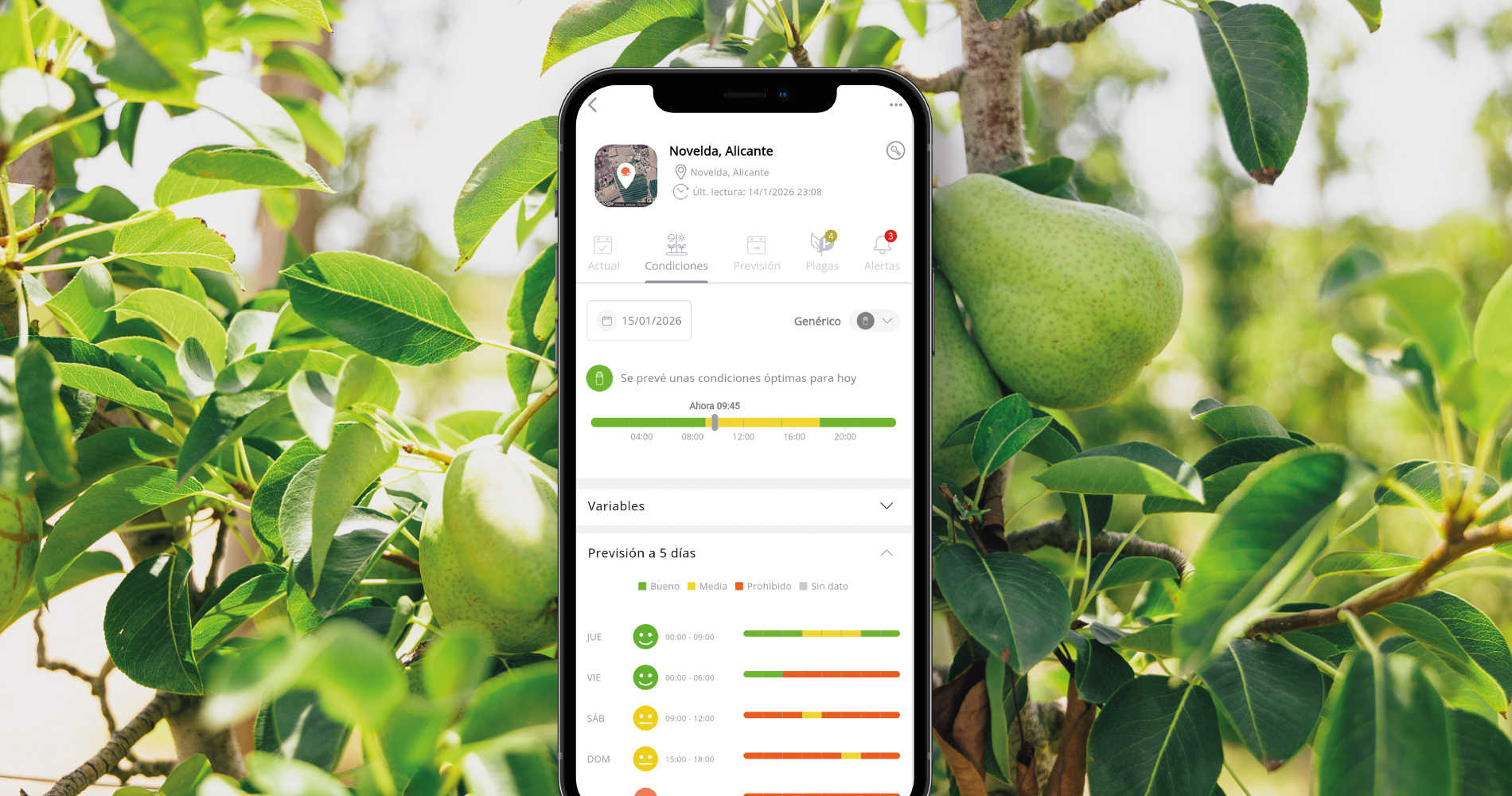 condiciones-tratemiento-sut-360-es