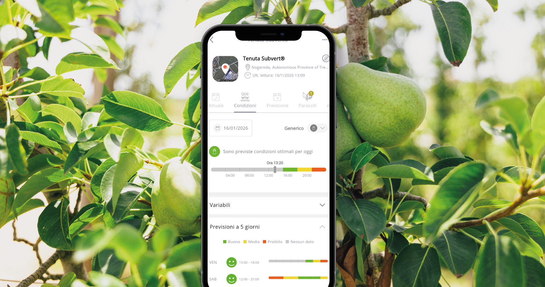 condiciones-tratemiento-sut-360-it-low