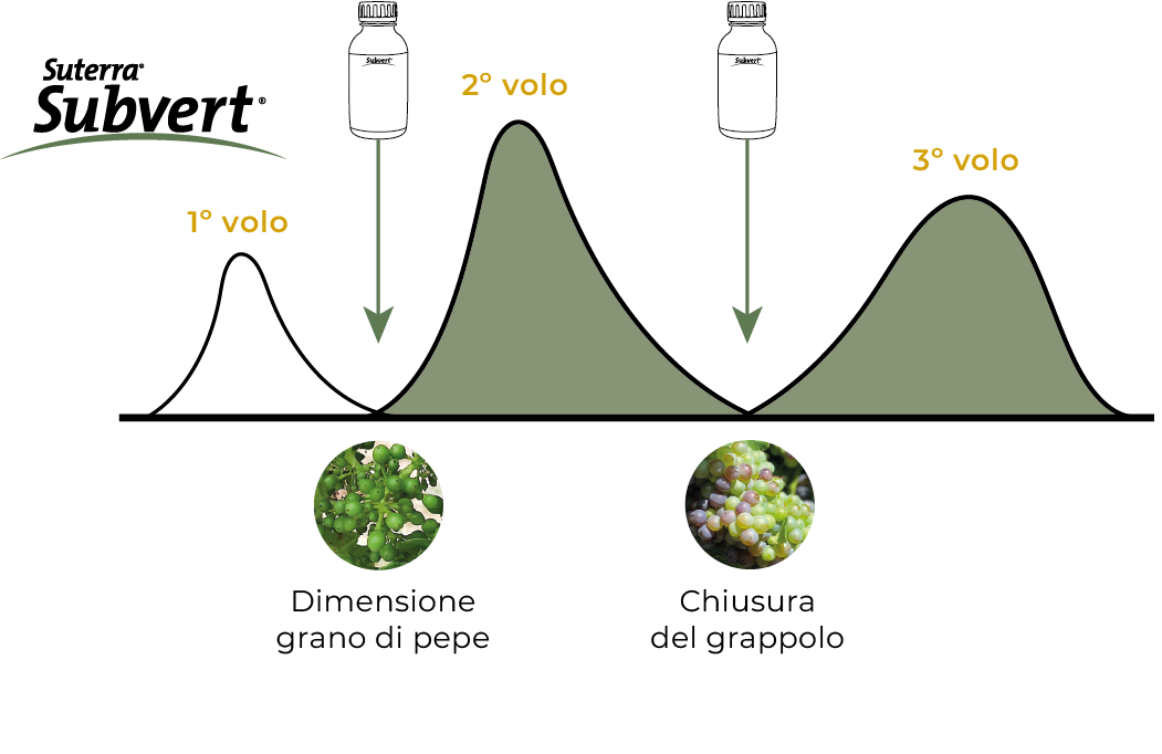 flight-graph-lb-subvert-it