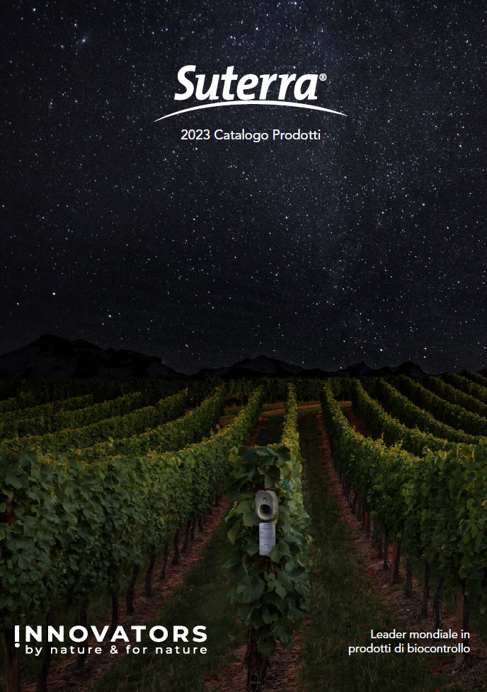italian-catalog-cover-23